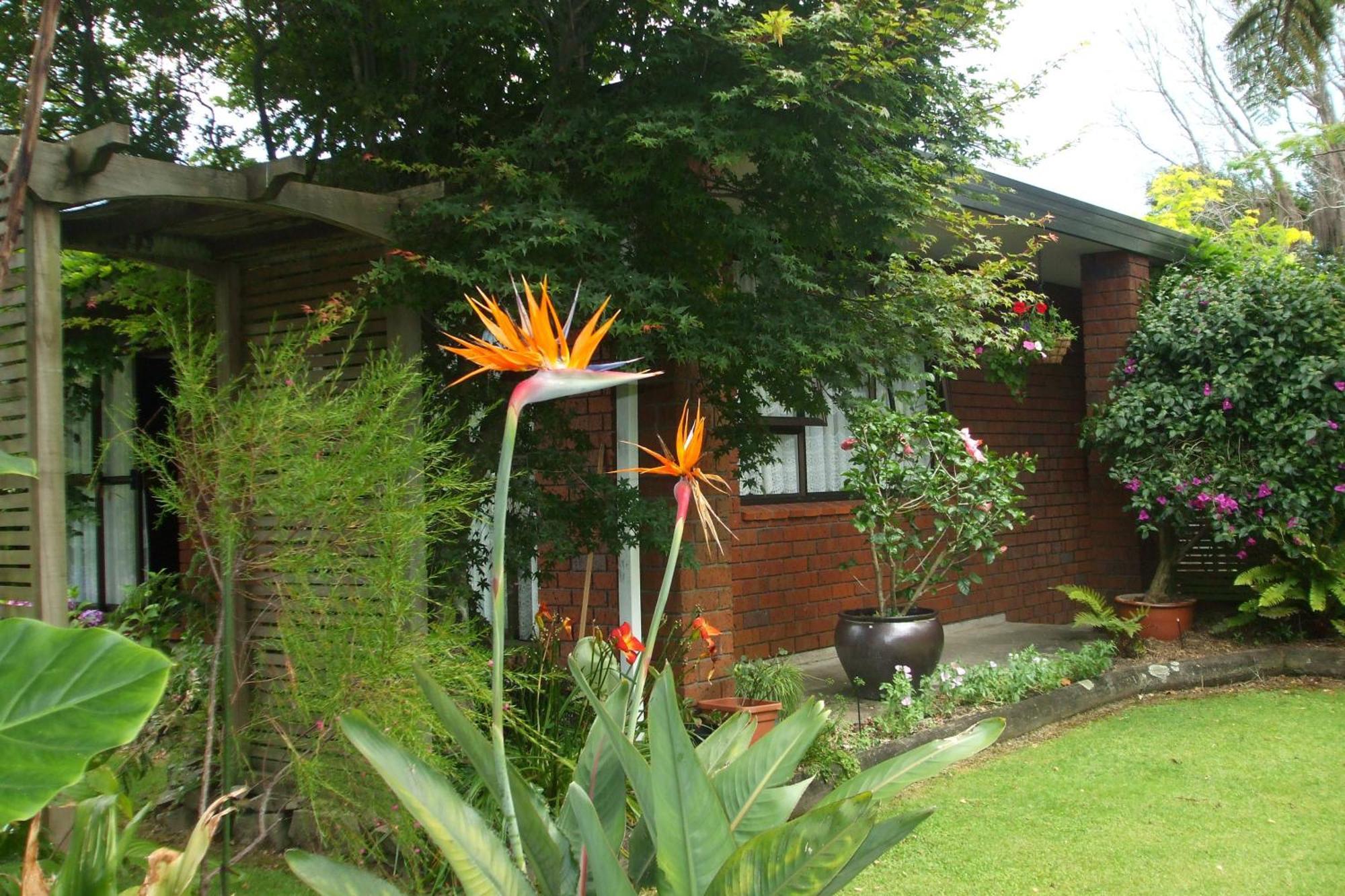 Havenlee Homestay Westport Exteriör bild